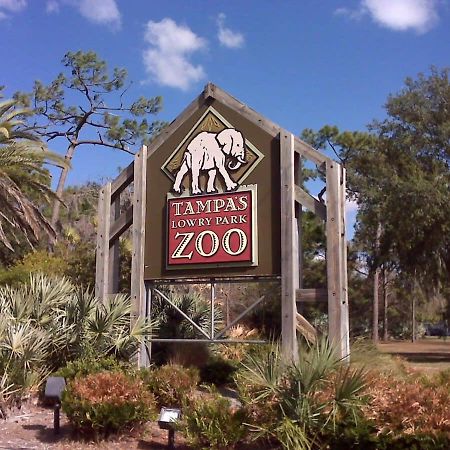 Budget Friendly Sleeps 8 Discounts Available Tampa Buitenkant foto