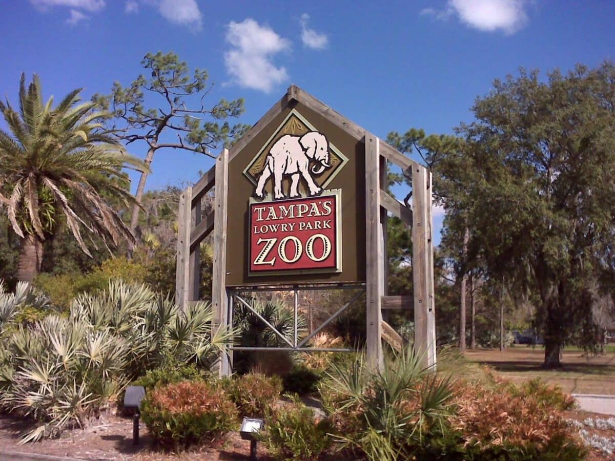 Budget Friendly Sleeps 8 Discounts Available Tampa Buitenkant foto
